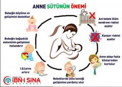 Anne Sütü'nün Önemi